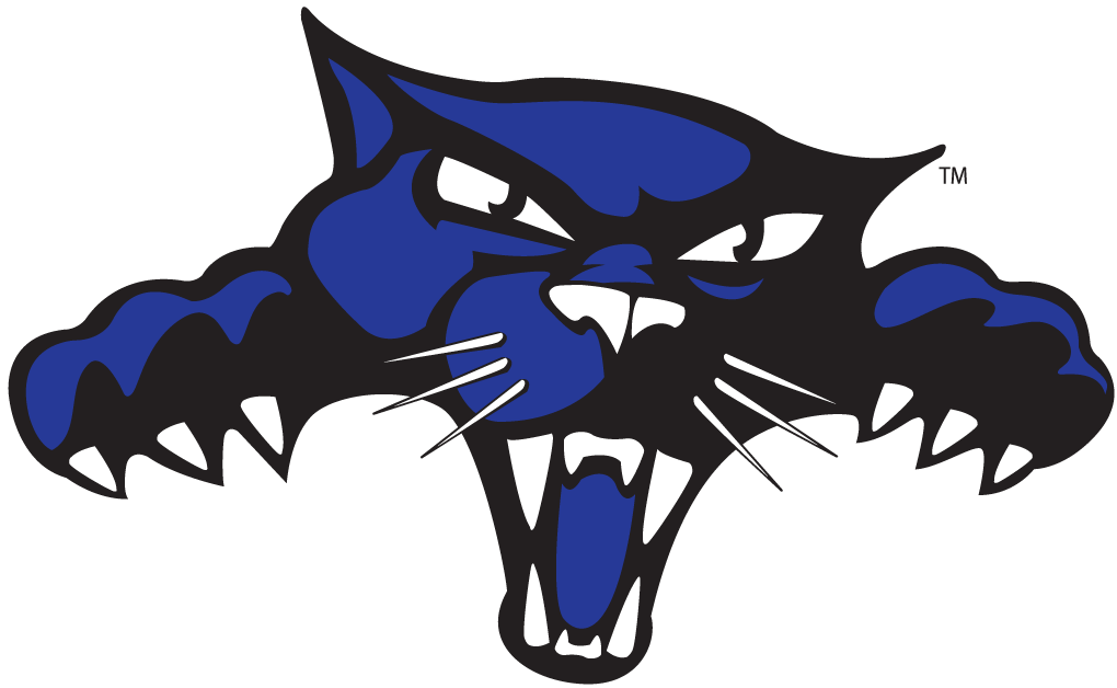 High Point Panthers 2004-Pres Alternate Logo DIY iron on transfer (heat transfer)